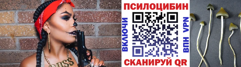 Купить закладки  Прокопьевск  Галлюциногенные грибы MAGIC MUSHROOMS 