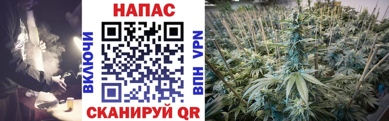 Купить закладки  Прокопьевск  Бошки Шишки OG Kush 